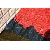Image de floraworld Tissu anti-mauvaises herbes 25 x 1 m, 100 g