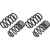 Image de E10-65-015-01-22 Ressorts Eibach Pro Kit Haute Performance