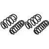Image de Eibach E10-20-038-02-22 Pro Kit