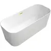 Image de Baignoire ilot 170 X 70 VILLEROY ET BOCH ilot Finion quaryl blanc trop plein Gold