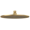 Image de V&B Universal Showers Tête de douche Ø 250 mm, rd, montage plafond, or brossé