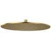 Image de Douche de tête 350 VILLEROY ET BOCH Universal Showers ronde Brushed Gold