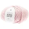 Image de Laine épaisse Fashion Alpaca, Cozy UP, 100 g, 02