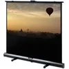 Image de DELUXX Advanced Portable Self-Stand-X 155 x 87 cm Polaro