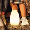 Image de FH Lighting Lampe de table LED rechargeable Ruby, Ø 14 cm, blanche, IP44, RVB à intensité