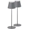 Image de FH Lighting Lampe batterie LED Cosenza x2 gris sable H 38 cm