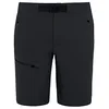 Image de VAUDE Men's Badile Shorts Pantalon Homme Black Uni FR: 2XL (Taille Fabricant: 46)