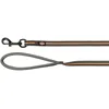 Image de Trixie Guide de Suivi Fusion caoutchouté M-XL : 15 m/17 mm, Graphite/Papaye, Nylon