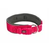 Image de Collier pour Chien Trixie Premium Graphite Fuchsia S/M 33-42 cm - Marque : Trixie - EAN : 4053032658684