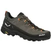 Image de Salewa ALP Trainer 2 GTX M, 45, Bungee Cord/Black