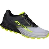 Image de Dynafit Alpine - Chaussures Trail Homme