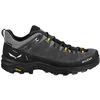 Image de SALEWA Chaussures de randonnée homme Alp Trainer 2 GTX gris | 44