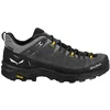 Image de SALEWA Chaussures de randonnée homme Alp Trainer 2 GTX gris | 45