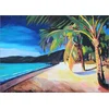 Image de Alu Dibond 70 x 50 cm: Beach At Magen's Bay St Thomas USVI de M. Bleichner