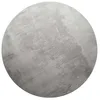Image de Tapis rond en fourrure synthétique - Couleur unie - Doux et moelleux - Facile d'entretien - Idéal pour le salon, la chambre à coucher, la chambre d'enfant - Villa Rosso (120 cm rond, gris clair)