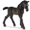 Image de Schleich Poulain Lipizzan