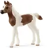 Image de Schleich Poulain Pintabian