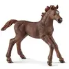 Image de Schleich Club de Cheval, Figurine d'animal, Jouets de Cheval pour Filles et garçons de 5 à 12 Ans, Poulain Pur-Sang Anglais, à partir de 5 Ans