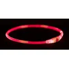 Image de TRIXIE Anneau Lumineux USB Flash, L XL : 65 cm/ø 8 mm, Rouge