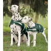 Image de Couverture de pluie pour chien Vert sapin 35 cm