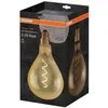 Image de OSRAM Ampoule LED standard 160mm édition 1906 claire filament or 5W E27
