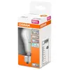 Image de Ampoule LED Classic A OSRAM E27 8W 6.500K mate