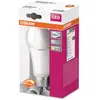 Image de OSRAM Ampoule OLED E27 20 W, 2 700 K, opale, dimmable