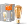 Image de Ampoule LED LEDVANCE SMART+ WIFI, teinte dorée, 8W, 650lm, forme Edison 64mm de diamètre, E27, lumière blanche réglable (2200-5000K), dimmable, application ou commande vocale, longue durée de vie