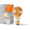 Image de Ampoule LED LEDVANCE SMART+ WIFI, teinte dorée, 6W, 470lm, forme classique culot E27, lumière blanche réglable (2200-5000K) dimmable, application ou commande vocale, durée de vie de 15 000 heures