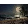 Image de Architects Paper Mantiburi 117605 Papier peint photo Motif Lune et Mer BeachAtNight | Atelier 47 4 x 2,70 m