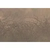 Image de Architects Paper Mantiburi 117920 Papier peint photo Motif nature ThornHedge 47 4 x 2,70 m Marron/gris