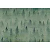 Image de Architects Paper WTD 117980 Atelier 47 Papier peint photo pour salon Motif forêt Vert 4 x 2,70 m