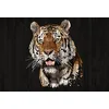 Image de Architects Paper Mantiburi 118150 Papier peint photo Motif animaux en bois PolygonTiger 47 4 x 2,70 m