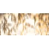 Image de Architects Paper Mantiburi 118360 Papier peint photo moderne DiffuseOrna | Atelier 47 6 m x 2,5 m Orange Blanc Marron
