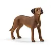 Image de Schleich Chien de Rhodésie à crête Dorsale