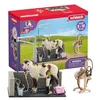 Image de schleich 42104 HORSE CLUB - Box Lavage Chevaux avec Figurine Cheval et Cavalier - Coffret de Lavage de Chevaux de 11 Pièces avec Cheval, Cavalier et Accessoires - Cadeau pour enfants de 3 ans et +