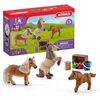 Image de Schleich Famille de Mini-shetlands 41432, Taille unique