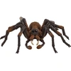 Image de Harry Potter - Aragog, Figurine