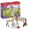 Image de Schleich 42430 Kit de Secours d'Horse Club Hannah, dès 5 Ans, Horse Club - Coffret, 19 x 6 x 15 cm