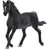 Image de HORSE CLUB Étalon Arabe, Figurine