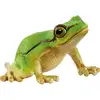 Image de WILD LIFE Rainette Verte, Figurine