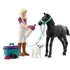 Image de Kit de toilettage pour Chevaux avec Poulain Appaloosa