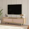 Image de [en.casa] Meuble TV Design Intemporel Banc Télévision Style Scandinave avec 2 Portes et Espace de Rangement Panneau de Particules Métal 160 x 36 x 45 cm Effet Chêne Aspect Rotin