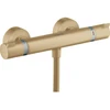 Image de hansgrohe Thermostat de douche Ecostat Comfort 304x103mm, AP, 1 sortie, bronze brossé