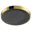 Image de hansgrohe Douche de tête Rainfinity 250 1j, mur/plafond, finition or poli