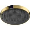 Image de hansgrohe Pomme de douche Rainfinity 360 1j, murale/plafond, optique or poli