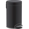 Image de hansgrohe Poubelle à pédale AddStoris Capacité 3 l, libre, noir mat