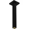 Image de hansgrohe Raccord plafond 300 mm, noir mat