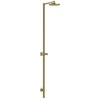Image de hansgrohe Nature Colonne de douche Axor Starck avec pomme de tête, sans douchette, or poli