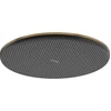 Image de hansgrohe Pomme de douche Raindance Alive S 300 mm, pression min. 0,6 b, bronze brossé
